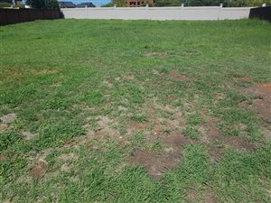 1016 m² Land available in Zambezi Country Estate