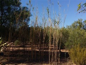 2417 m² Land available in Aurora