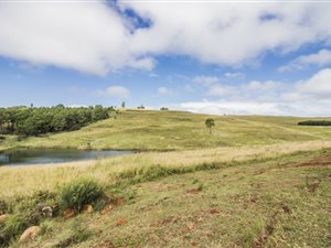1 ha Land available in Dullstroom