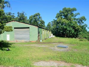 Industrial space in Izotsha