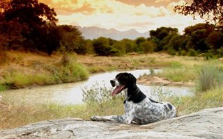 1 ha Land available in Zandspruit Bush and Aero Estate
