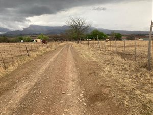 600 ha Farm in Paulpietersburg