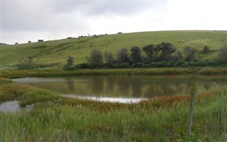 20 ha Farm in Winterton