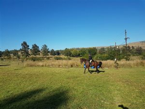 5 ha Farm in Vlakplaats