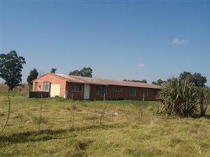 6.5 ha Farm in Ermelo