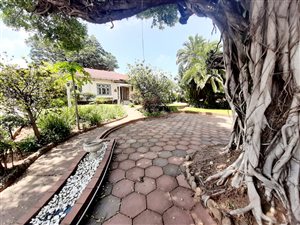 3 Bed House in Ocean View