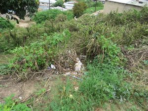 1 Bed House in Ntuzuma