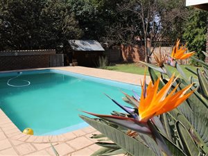 5 Bed House in Meyerspark