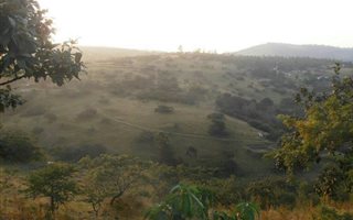 5.5 ha Land available in Cliffdale