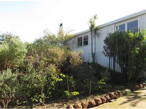 4 Bed House in Brandwacht