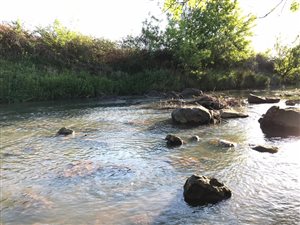 21 ha Farm in Mooi River