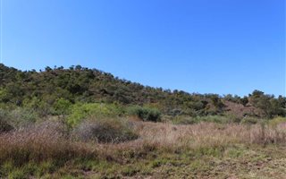 1571 m² Land available in Estate D Afrique