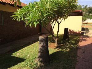 1.1 ha Farm in Waterval East