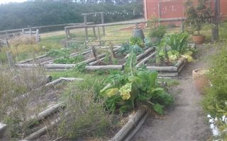 500 m² Farm in Philadelphia