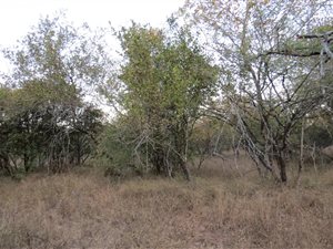 1580 m² Land available in Marloth Park