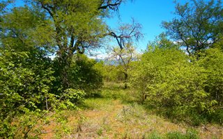 1 ha Land available in Raptors View Wildlife Estate