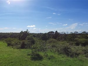 1.9 ha Land available in Amalinda