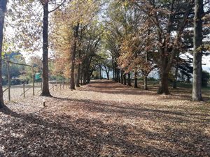 5.1 ha Smallholding in Sabie