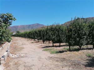 5.8 ha Farm in Calitzdorp