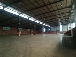 12500 m² Commercial space in Prospecton Industrial