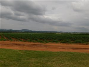 71 ha Farm in Groblersdal