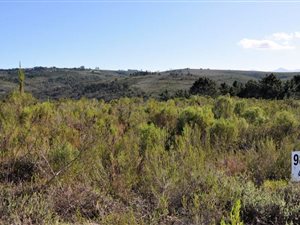 763 m² Land available in Baron View