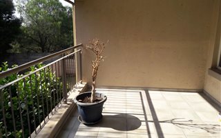 3 Bedroom Flat in Rynfield