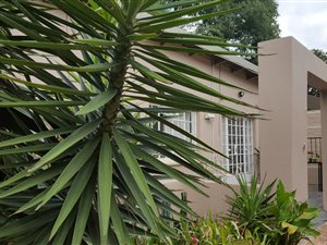 1 Bed Garden Cottage in Greenside