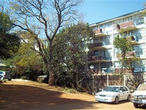 Studio apartment in Yeoville
