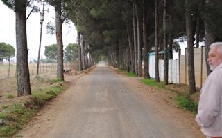 1.3 ha Farm in Ferreira