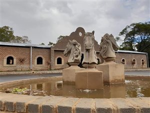4 ha Farm in Tierpoort