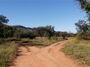 8.4 ha Land available in Syferfontein