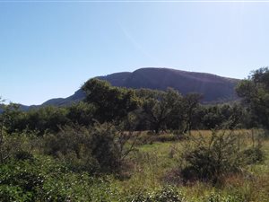 8.4 ha Land available in Syferfontein
