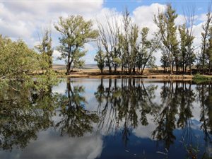 542 ha Farm in Swellendam