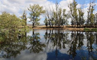 542 ha Farm in Swellendam