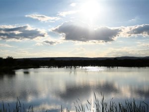 625 m² Land available in Mookgophong (Naboomspruit)