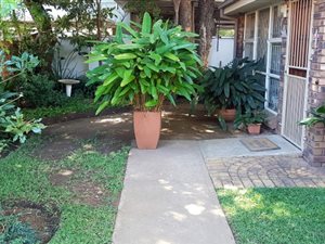 2 Bed Simplex in Hillcrest