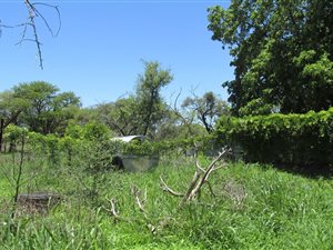 10 ha Farm in Bela-Bela (Warmbaths)
