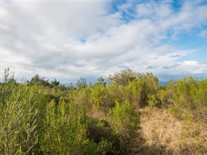 3 ha Land available in Wilderness Heights