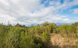 3 ha Land available in Wilderness Heights