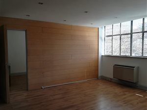 220 m² Commercial space in Wynberg