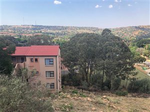 3 Bedroom Apartment in Wilro Park