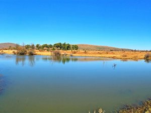 561 ha Farm in Alma