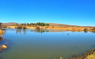 561 ha Farm in Alma