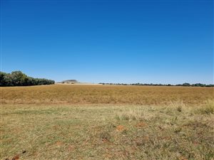 128.1 ha Farm in Bainsvlei