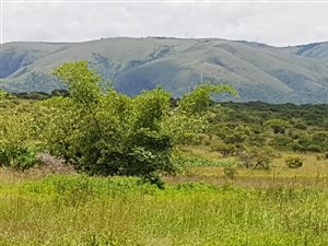 118.5 ha Farm in Belfast