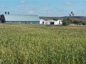 8796 ha Farm in Carnarvon
