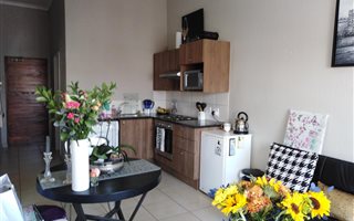 1 Bedroom Townhouse in Ferndale