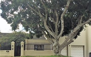 5 Bedroom House in Steynsrust