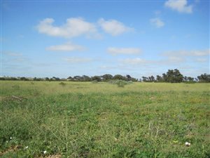 22.2 ha Smallholding in Vredenburg